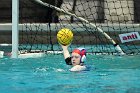 WWPolo vs CC  Wheaton College Women’s Water Polo compete in their sports inaugural match vs Connecticut College. - Photo By: KEITH NORDSTROM : Wheaton, water polo, inaugural